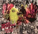 Dead Meadow, Vinyl WARBLE WOMB