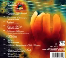 Sylvain Luc – AMBRE (CD)