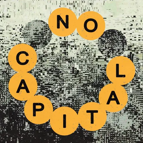 Vinyl NO CAPITAL