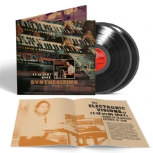 Vinyl SYNTHESIZING: TEN RAGA...