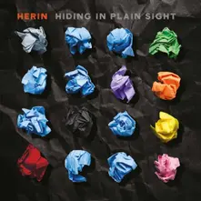 Vinyl HIDING IN PLAIN SIGHT