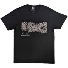 Death Cab for Cutie, Tričko Acoustic, Unisex, Šedá