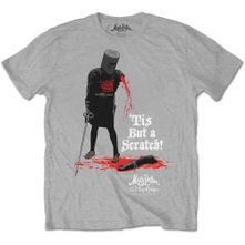 Tis But A Scratch