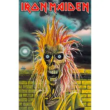 Iron Maiden thumbnail
