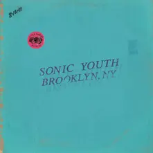 LIVE IN BROOKLYN 2011 thumbnail