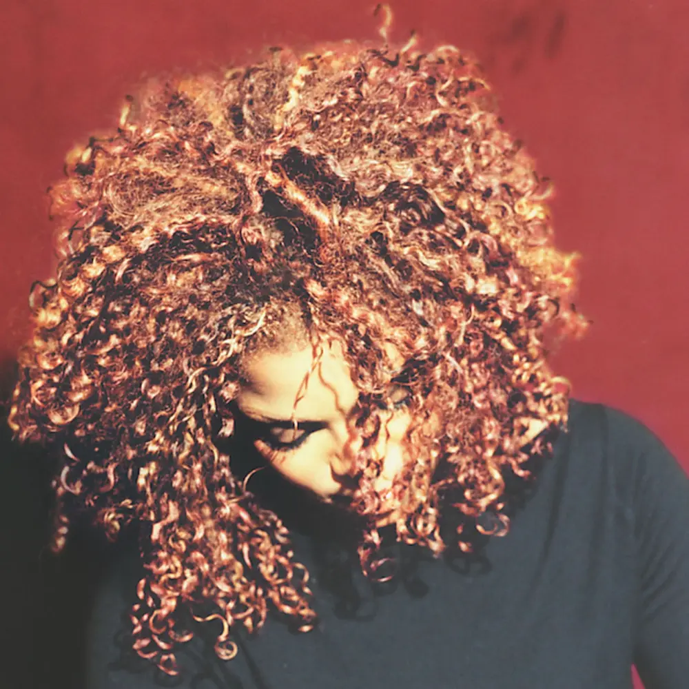Janet Jackson – The Velvet Rope (Vinyl)