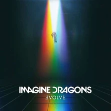 Vinyl EVOLVE