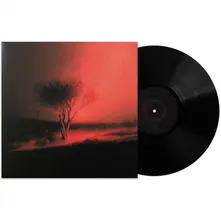 JOJI, Vinyl PISS IN THE WIND