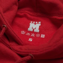 TEAM MOMA thumbnail