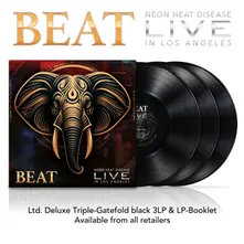 The Beat, Vinyl Live