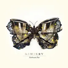 FARBRAUM DUO – MIMIKRY (CD)