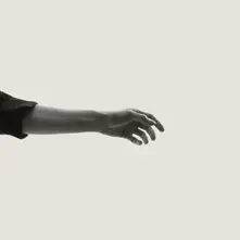 Vinyl LIMBS
