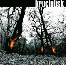 DRUIDE (20TH ANNIVERSARY REMASTER) thumbnail