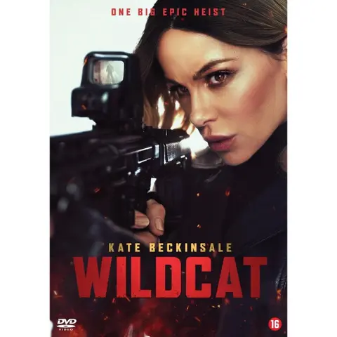 WILDCAT