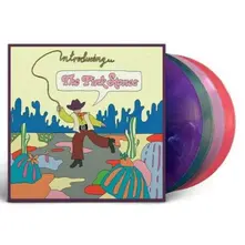 Vinyl INTRODUCING...THE PINK STONES