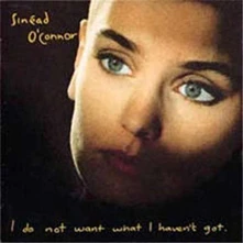Vinyl I DO NOT WANT WHAT I HAVEN'T GOT