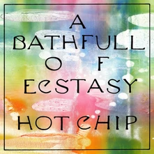 Hot Chip, CD A BATH FULL OF ECSTASY