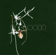 CD Recloose - Hiatus On the Horizon