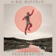 Vinyl REGENERATOR