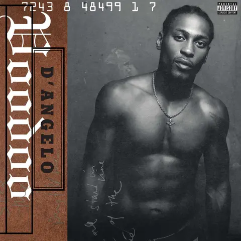 D'angelo – Vinyl Voodoo