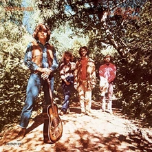 Vinyl GREEN RIVER