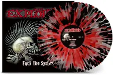 Vinyl Fuck the System
