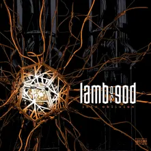 Lamb of God, Vinyl INTO OBLIVION