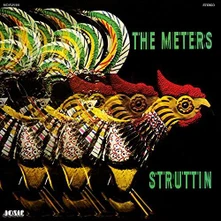 The Meters, Vinyl Struttin'
