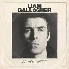 Vinyl AS YOU WERE