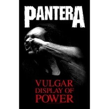 Plagát Vulgar Display Of Power