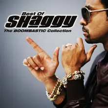 Shaggy – THE BOOMBASTIC COLLECTION (CD)