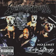 Vinyl No Limit Top Dogg