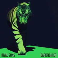 Vinyl DARKFIGHTER