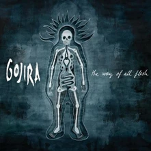 Vinyl WAY OF ALL FLESH