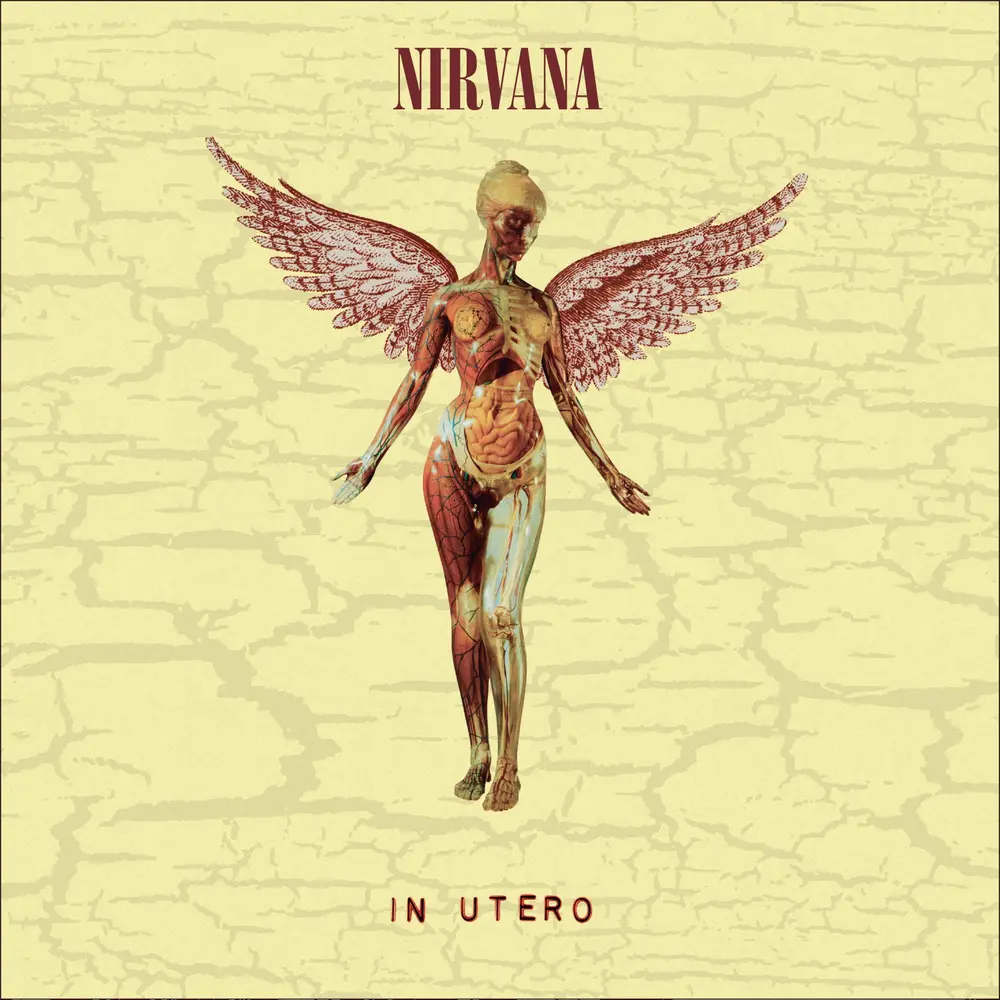 In Utero (30th Anniversary Edition)
