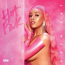Vinyl Hot Pink