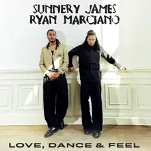 LOVE, DANCE & FEEL (Vinyl)