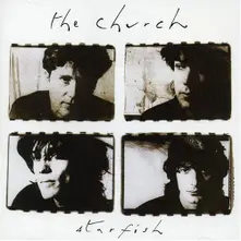 CHURCH - STARFISH thumbnail