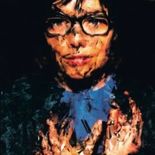 Björk, CD Selmasongs