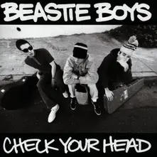 Beastie Boys, CD CHECK YOUR HEAD