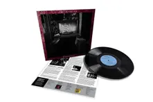 Vinyl DARKER DAYS