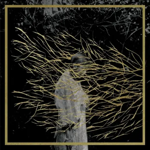 Forest Swords – CD ENGRAVINGS