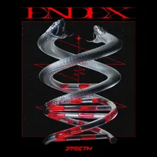 Vinyl Endex