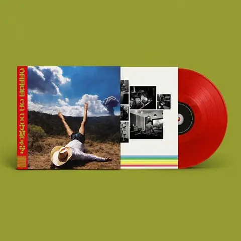 Geese – Vinyl 3D COUNTRY