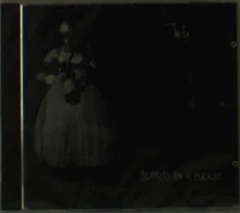 CD BLUEPRINTS FOR A BLACKOUT