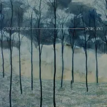 Vinyl DESIRE LINES