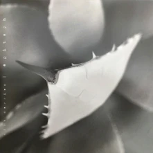 Dirk Serries, Vinyl EPITAPH