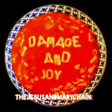 CD DAMAGE AND JOY