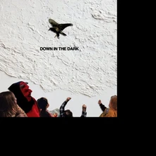 Safe to Say, Vinyl DOWN IN THE DARK