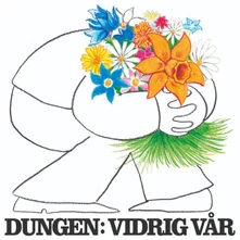 CD VIDRIG VAR
